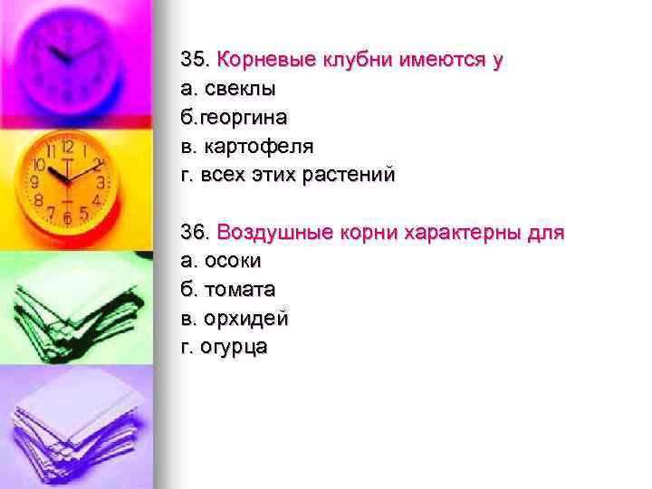 35. Корневые клубни имеются у а. свеклы б. георгина в. картофеля г. всех этих