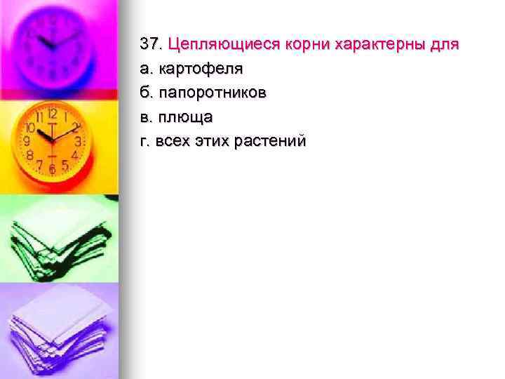 37. Цепляющиеся корни характерны для а. картофеля б. папоротников в. плюща г. всех этих