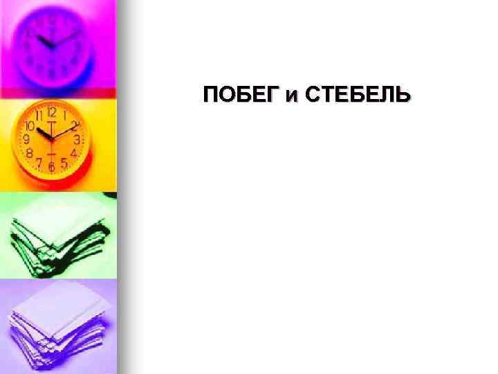 ПОБЕГ и СТЕБЕЛЬ 