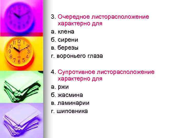 3. Очередное листорасположение характерно для а. клена б. сирени в. березы г. вороньего глаза