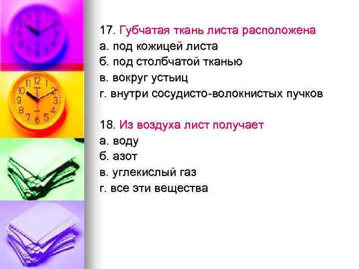 17. Губчатая ткань листа расположена а. под кожицей листа б. под столбчатой тканью в.