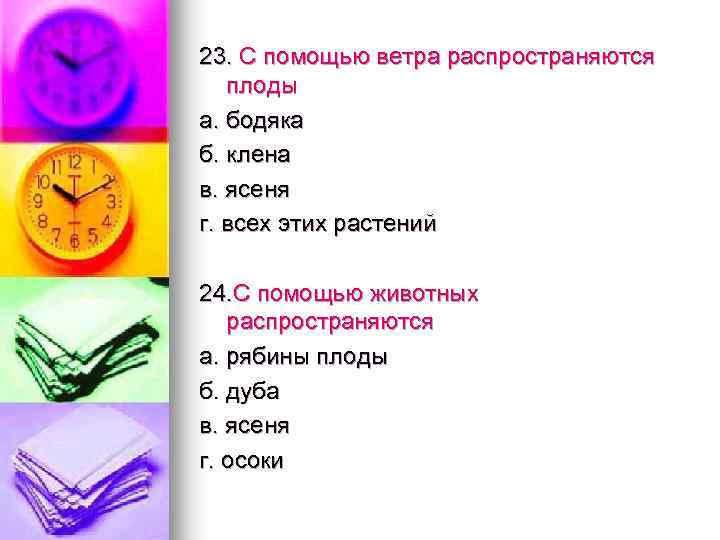 23. С помощью ветра распространяются плоды а. бодяка б. клена в. ясеня г. всех