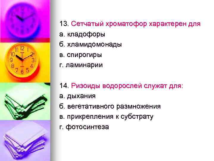 13. Сетчатый хроматофор характерен для а. кладофоры б. хламидомонады в. спирогиры г. ламинарии 14.