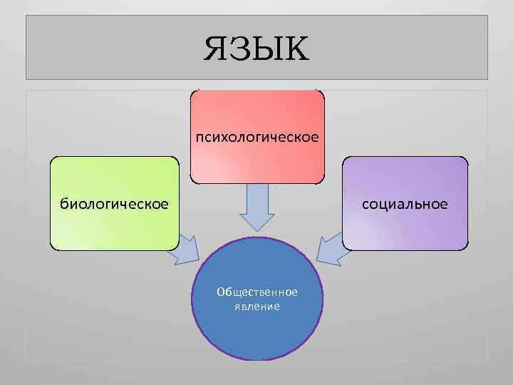 Социальный язык. Язык как Общественное явление. Язык явление социальное. Язык как Общественное явление функции языка. Язык как социальное явление функции языка.