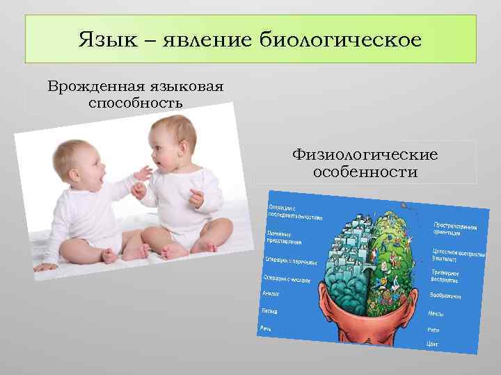 Язык – явление биологическое Врожденная языковая способность Физиологические особенности 