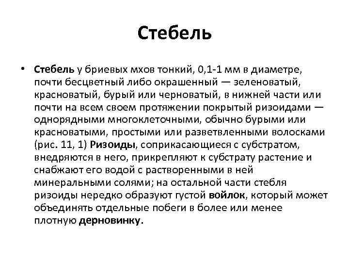 Стебель • Стебель у бриевых мхов тонкий, 0, 1 -1 мм в диаметре, почти