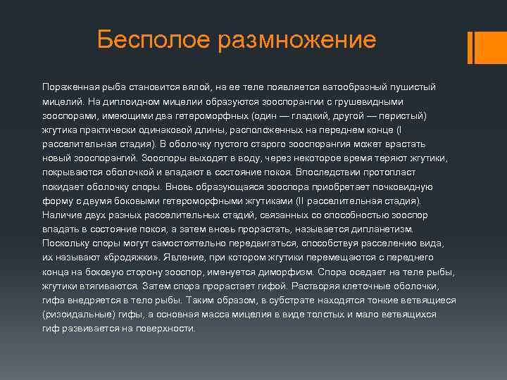 Бесполое размножение Пораженная рыба становится вялой, на ее теле появляется ватообразный пушистый мицелий. На