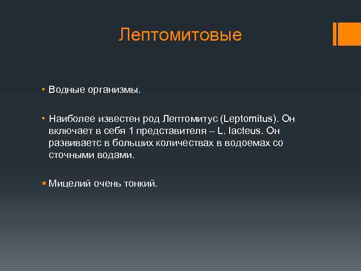 Известное род. Лептомитовые. Лептомитус. Класс Лептомитовые особенности. Картинка Лептомитовые.