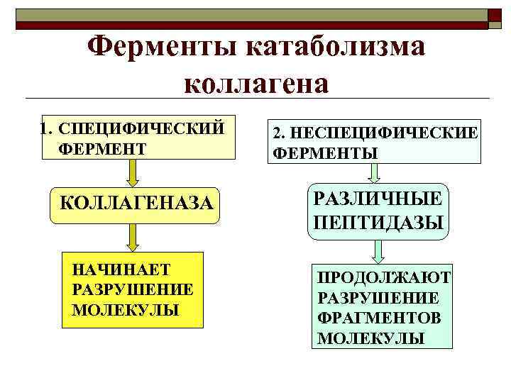 Ферменты катаболизма коллагена 1. СПЕЦИФИЧЕСКИЙ ФЕРМЕНТ 2. НЕСПЕЦИФИЧЕСКИЕ ФЕРМЕНТЫ КОЛЛАГЕНАЗА РАЗЛИЧНЫЕ ПЕПТИДАЗЫ НАЧИНАЕТ РАЗРУШЕНИЕ