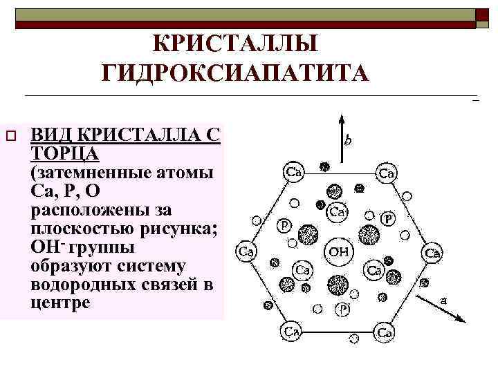 КРИСТАЛЛЫ ГИДРОКСИАПАТИТА o ВИД КРИСТАЛЛА С ТОРЦА (затемненные атомы Ca, P, O расположены за