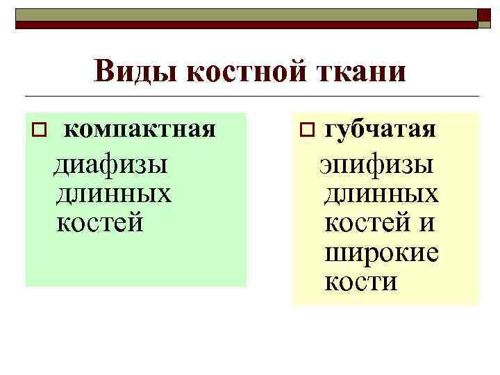 Виды костной ткани o компактная диафизы длинных костей o губчатая эпифизы длинных костей и