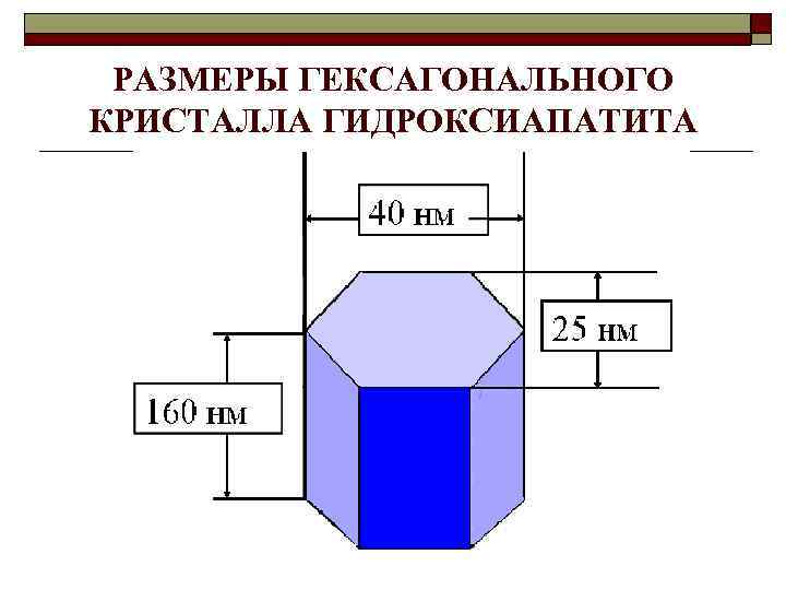 РАЗМЕРЫ ГЕКСАГОНАЛЬНОГО КРИСТАЛЛА ГИДРОКСИАПАТИТА 