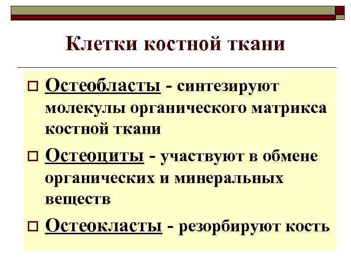 Клетки костной ткани o Остеобласты - синтезируют молекулы органического матрикса костной ткани o Остеоциты