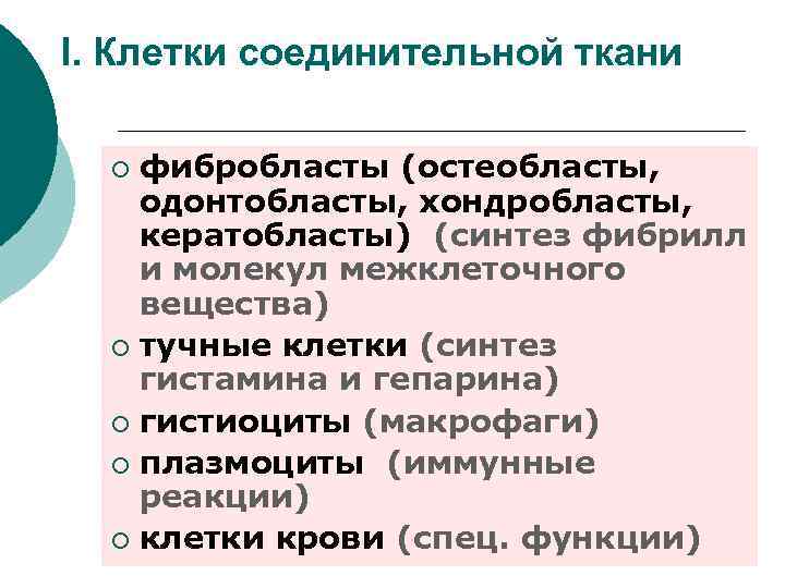 I. Клетки соединительной ткани фибробласты (остеобласты, одонтобласты, хондробласты, кератобласты) (синтез фибрилл и молекул межклеточного