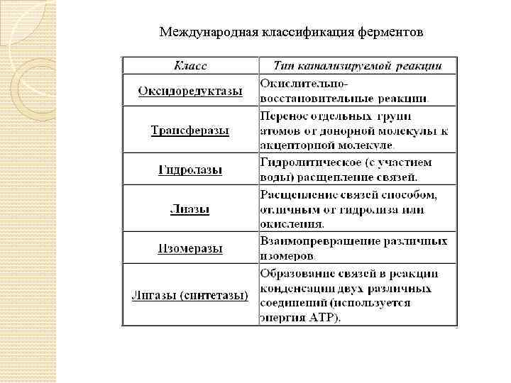 Презентация на тему ферменты 10 класс