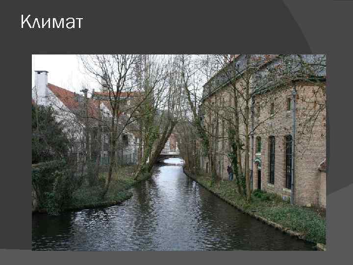 Климат 