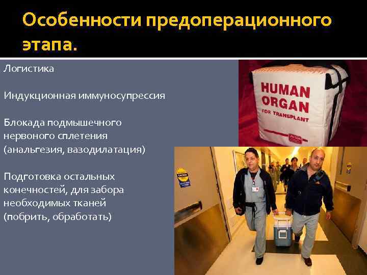 Особенности предоперационного этапа. Логистика Индукционная иммуносупрессия Блокада подмышечного нервоного сплетения (анальгезия, вазодилатация) Подготовка остальных