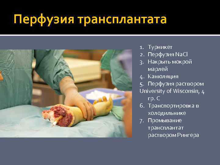 Перфузия трансплантата 1. Турникет 2. Перфузия Na. Cl 3. Накрыть мокрой марлей 4. Канюляция