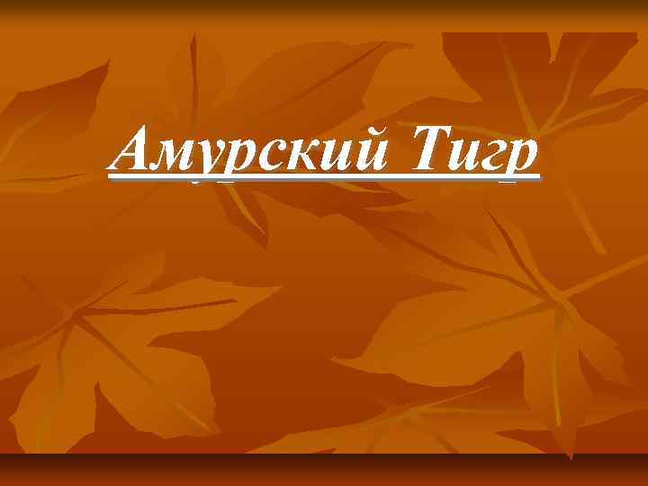 Амурский Тигр 