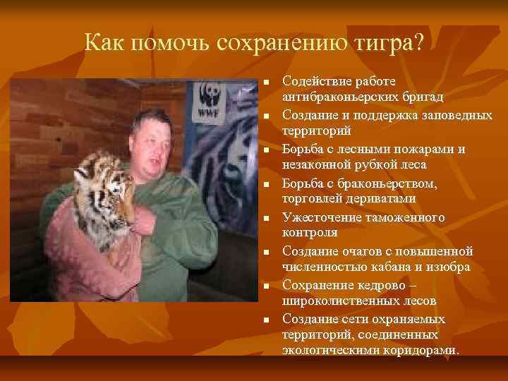 Как помочь сохранению тигра? Содействие работе антибраконьерских бригад Создание и поддержка заповедных территорий Борьба