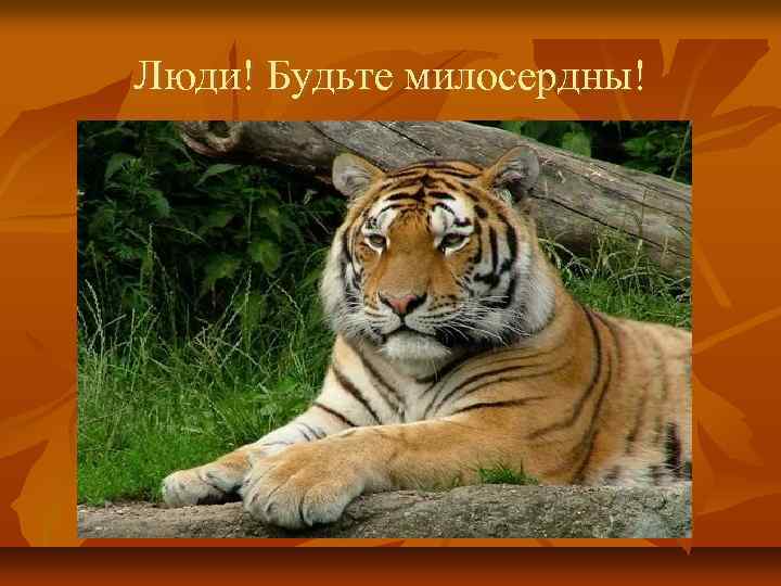 Люди! Будьте милосердны! 