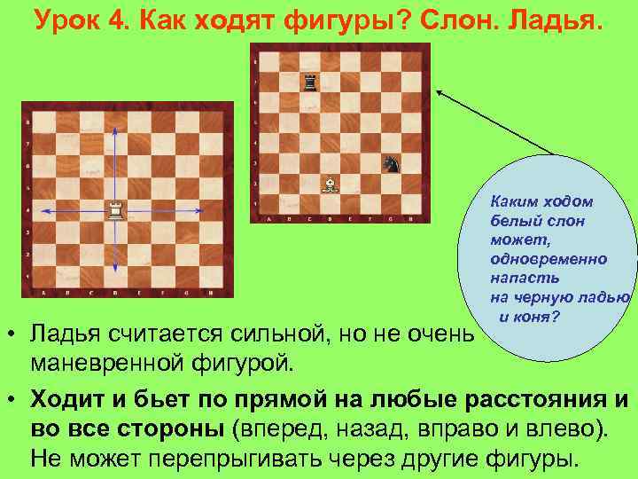 Урок 4. Как ходят фигуры? Слон. Ладья. Каким ходом белый слон может, одновременно напасть