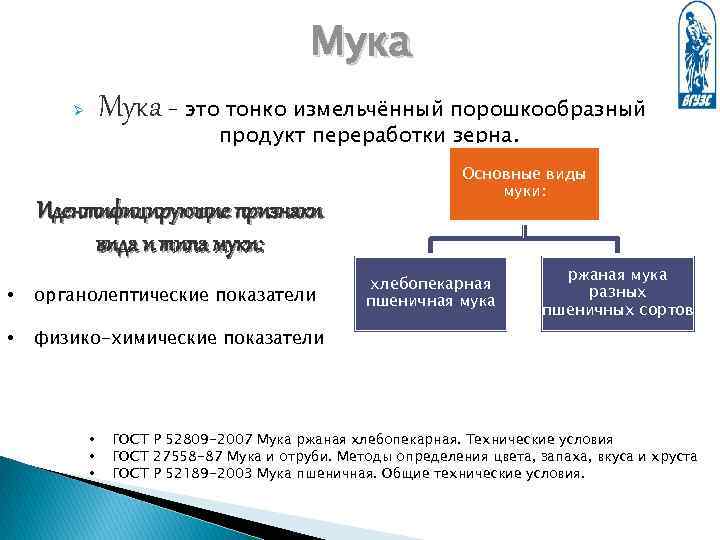 Мука – это тонко измельчённый порошкообразный Ø продукт переработки зерна. Идентифицирующие признаки вида и