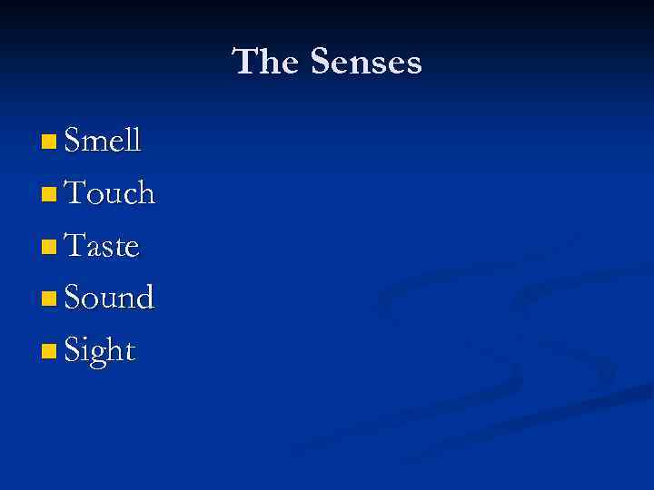 The Senses n Smell n Touch n Taste n Sound n Sight 