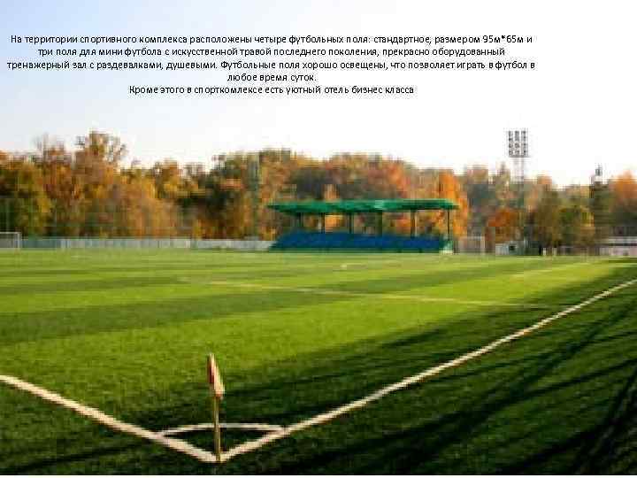 На территории спортивного комплекса расположены четыре футбольных поля: стандартное, размером 95 м*65 м и