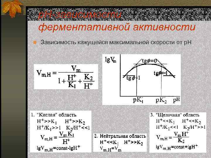 р. Н-зависимости ферментативной активности n Зависимость кажущейся максимальной скорости от р. Н 