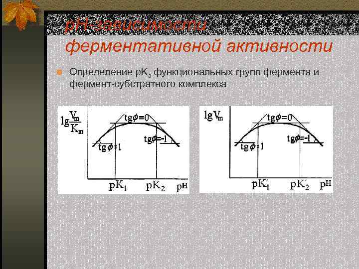 р. Н-зависимости ферментативной активности n Определение p. Ka функциональных групп фермента и фермент-субстратного комплекса