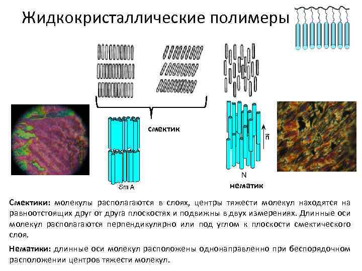 Жидкокристаллические полимеры смектик нематик Смектики: молекулы располагаются в слоях, центры тяжести молекул находятся на