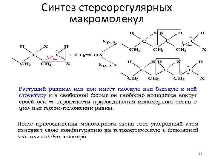 Макромолекулы крахмала состоят из остатков. Полимерное строение макромолекул. Стереорегулярное строения макромолекулы каучуков. Структура макромолекул