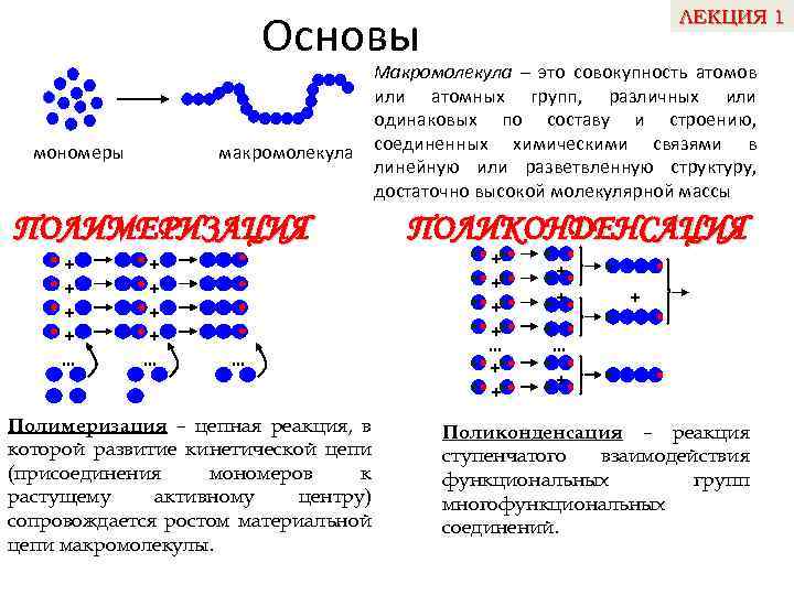 Реакции макромолекул