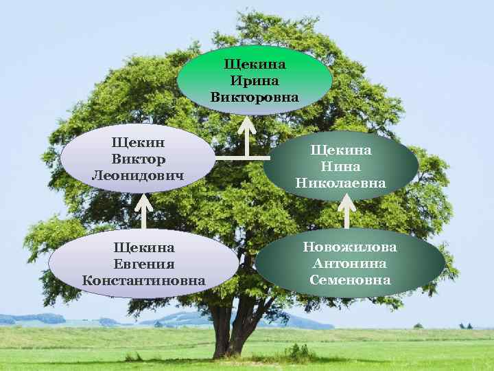 Щекина Ирина Викторовна Щекин Виктор Леонидович Щекина Евгения Константиновна Щекина Николаевна Новожилова Антонина Семеновна