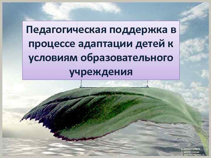 Педагогическая поддержка в процессе адаптации детей к условиям образовательного учреждения 