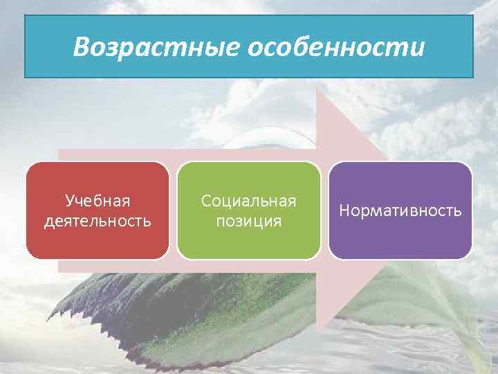 Возрастные особенности Учебная деятельность Социальная позиция Нормативность 