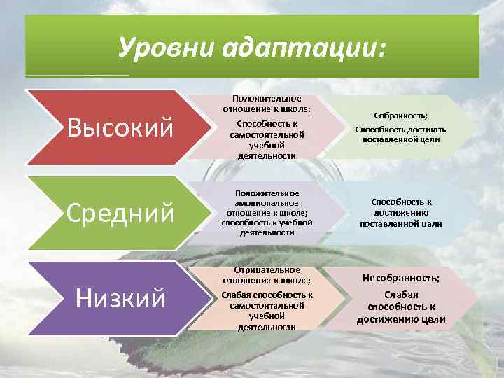 Уровни адаптации: Высокий Средний Низкий Положительное отношение к школе; Способность к самостоятельной учебной деятельности