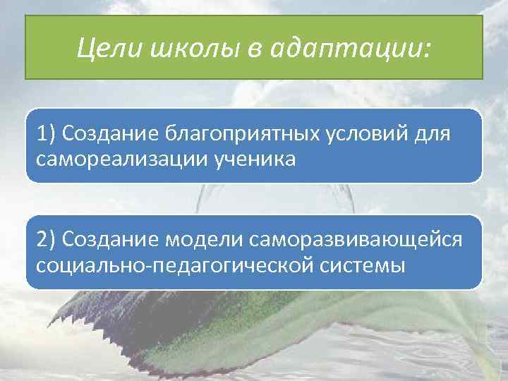 Цели школы в адаптации: 1) Создание благоприятных условий для самореализации ученика 2) Создание модели