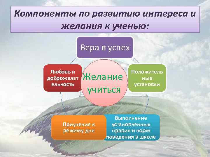 Компоненты по развитию интереса и желания к ученью: Вера в успех Любовь и доброжелат