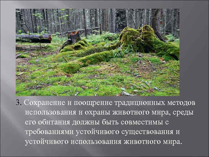 3. Сохранение и поощрение традиционных методов использования и охраны животного мира, среды его обитания