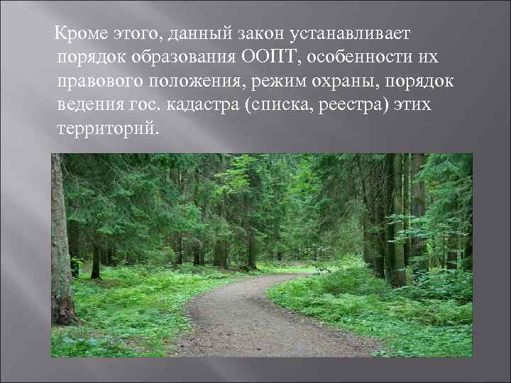  Кроме этого, данный закон устанавливает порядок образования ООПТ, особенности их правового положения, режим