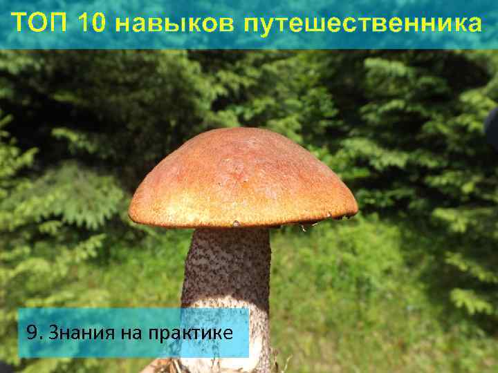 ТОП 10 навыков путешественника 9. Знания на практике 