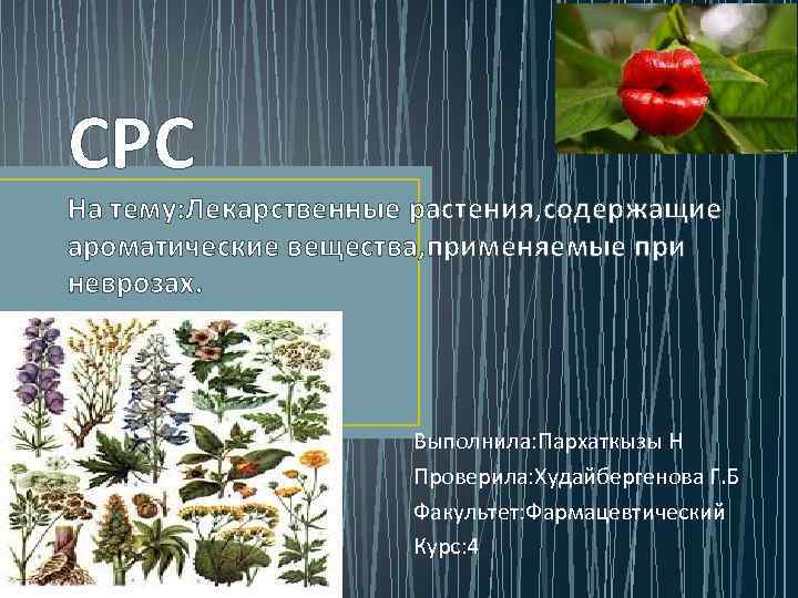 СРС На тему: Лекарственные растения, содержащие ароматические вещества, применяемые при неврозах. Выполнила: Пархаткызы Н