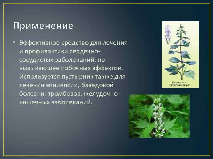 Применение • Эффективное средство для лечения и профилактики сердечнососудистых заболеваний, не вызывающее побочных эффектов.