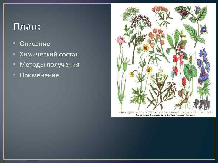 План: • • Описание Химический состав Методы получения Применение 
