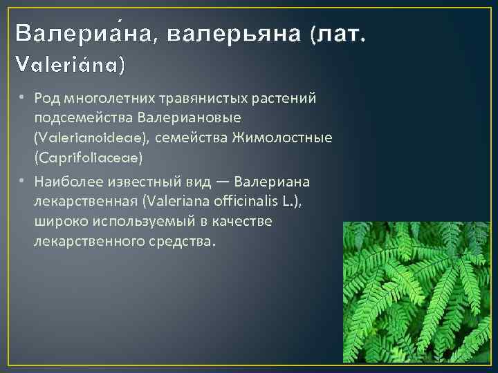 Валериа на, валерьяна (лат. Valeriána) • Род многолетних травянистых растений подсемейства Валериановые (Valerianoideae), семейства