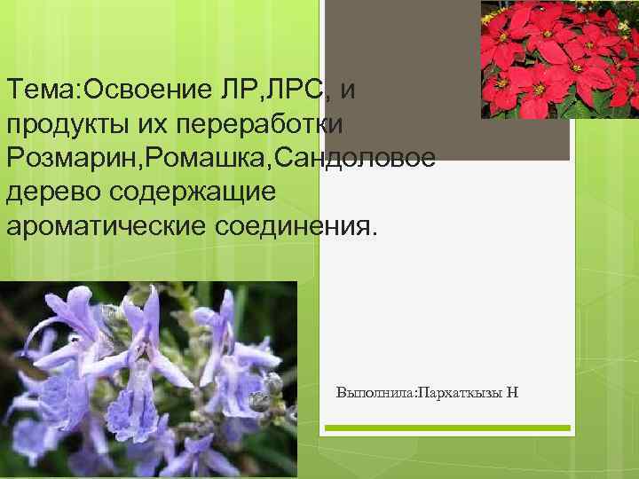 Тема: Освоение ЛР, ЛРС, и продукты их переработки Розмарин, Ромашка, Сандоловое дерево содержащие ароматические