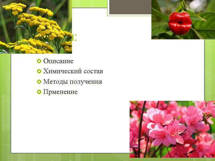 План: Описание Химический состав Методы получения Прменение 