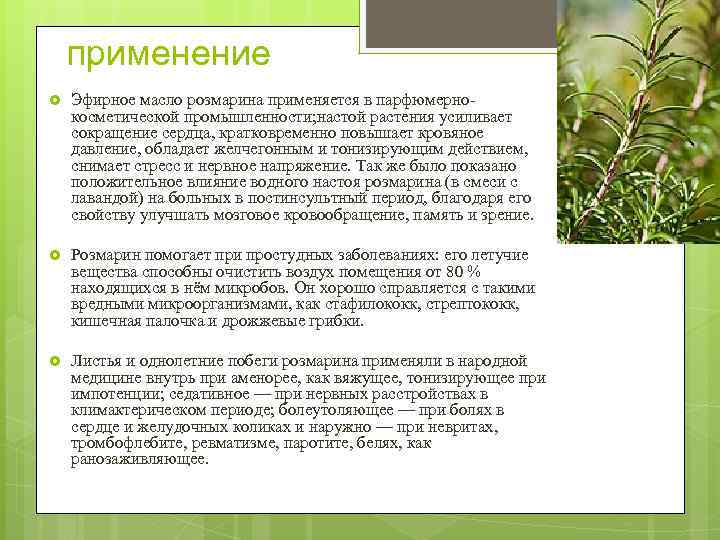 применение Эфирное масло розмарина применяется в парфюмернокосметической промышленности; настой растения усиливает сокращение сердца, кратковременно